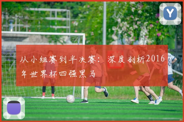 从小组赛到半决赛：深度剖析2016年世界杯四强黑马