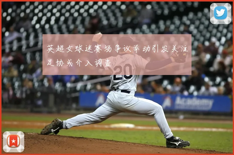 英超女球迷赛场争议举动引发关注足协或介入调查